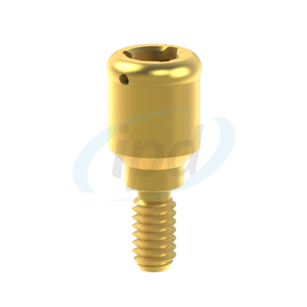 PSD Abatmentas išimamiems protezams. Tinka BioHorizons® Internal Hex