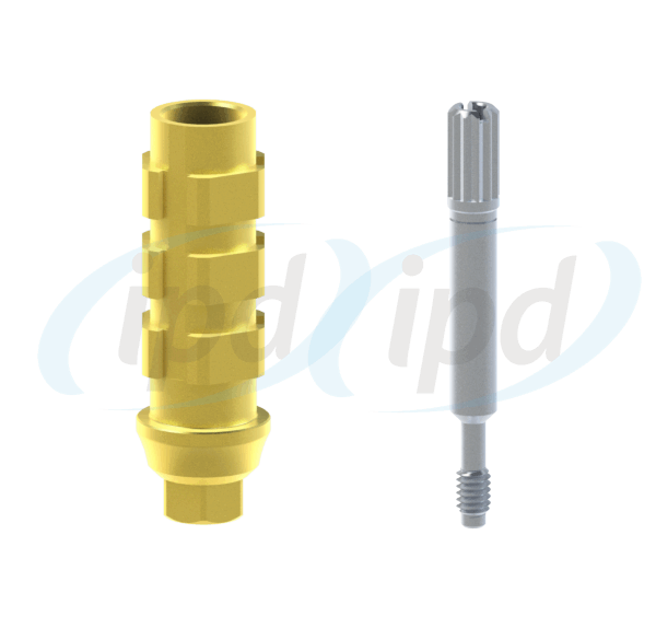 Atspaudinė galvutė (transferis). Tinka BioHorizons® Internal Hex